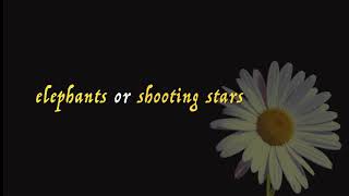 Fouronesix Trailer Animals Of The Heart