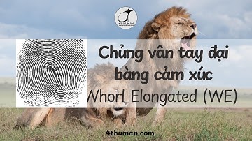Chủng vân tay đại bàng cảm xúc WE (Whorl Elongated) - Thấu hiểu bản thân cùng 4T Human #chungvantay