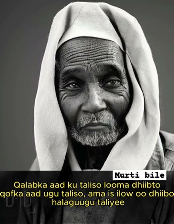maah maahyo qosol iyo xigmad leh . #maahmaahyo #gabayfortoday #murti #somalia #qosol
