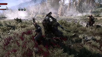 Witcher 3 - Enhanced Edition: Manual Targeting gameplay