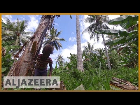 Environmentalist on mission to preserve island nation Vanuatu | Al Jazeera English
