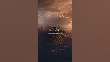{سورة لقمان}◇ {آية16} #سورة_لقمان #القران #المصحف #تلاوات_خاشعة #القران_الكريم