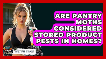 Are Pantry Moths Considered Stored Product Pests In Homes? - Insects and Invaders