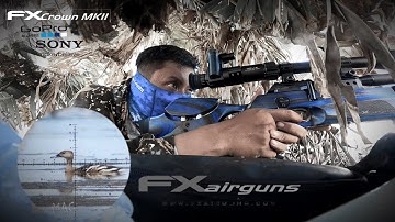 BERBURU BURUNG BELIBIS BATU with FX CROWN MK2 BLUE LAMINATE ELEMENT HELIX 6-24x50 FFP NVPARD 007s