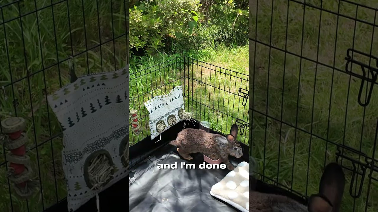 Get this playpen !#aivituvin