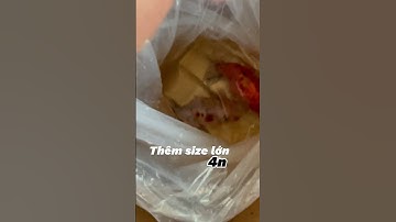 Ranchu và cám heo bay muôn nơi #goldfish #ranchu_goldfish #cámheo #rcdongnai #ranchugoldfish