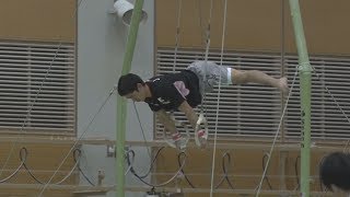 内村、白井らが練習 世界体操へ強化合宿公開