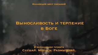 Выносливость и терпение в Боге - коллекция мест Писания.