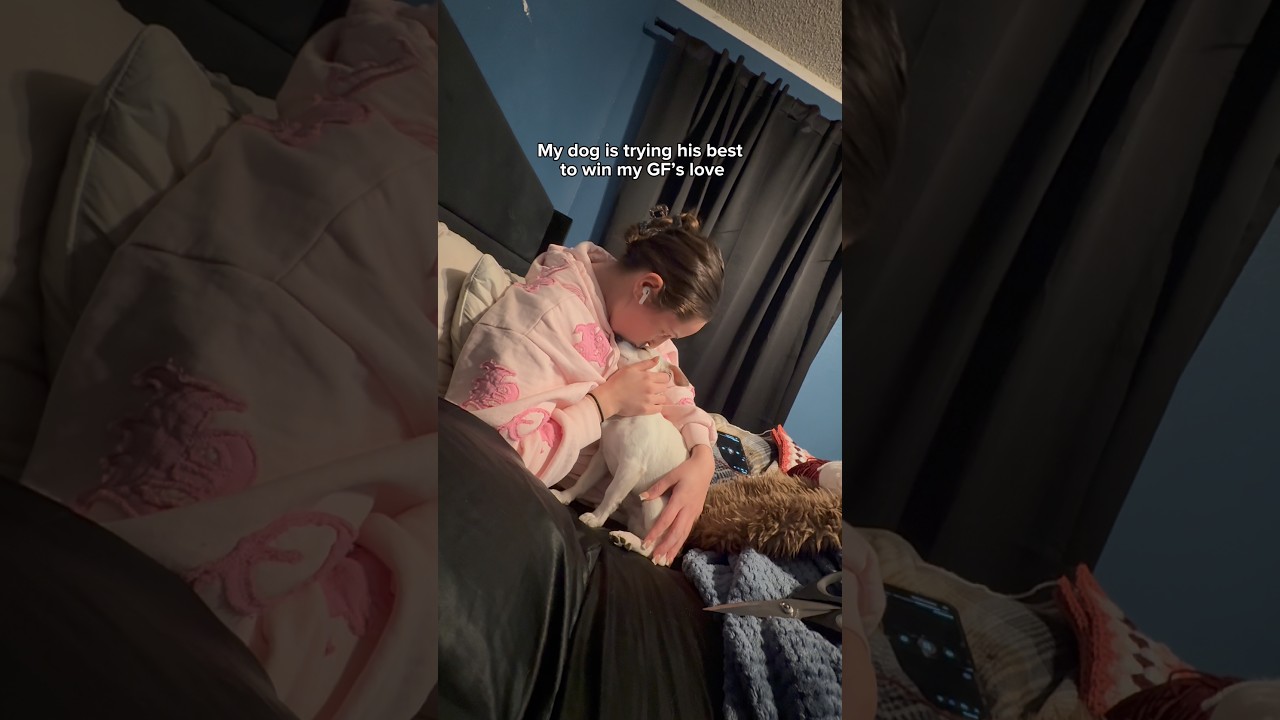 У него нет ни единого шанса против меня.