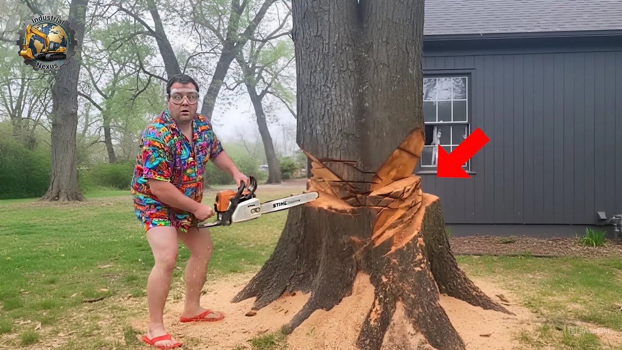 Idiots With Chainsaws: Tree Cutting Fails | Extreme Dangerous Logging ...