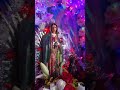 Virgen de Guadalupe Altar 2019