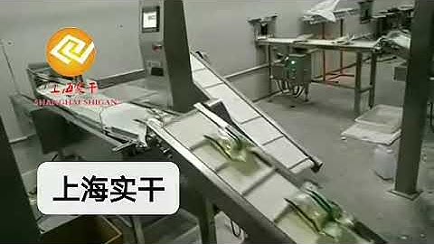 check weigher connected with vertical packing machine