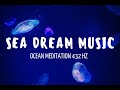 Amazing ocean meditation and dream relaxation 432 hz music