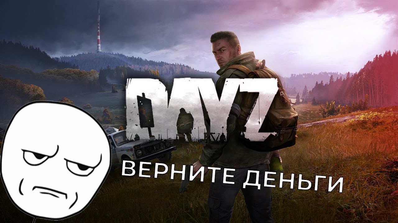 Dayz купить стим. Берет дэйз. Системные требования Дейзи.