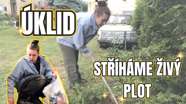 UKLÍZÍME, TŘÍDÍME, STŘÍHÁME PLOT