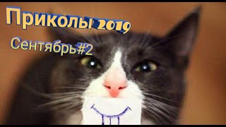 10 минут смеха// Сентяберь#2//Ржач до слёз//Обломы 80 лвл// Тест на психику 10 минут смеха// Сентяберь#2//Ржач до слёз//Обломы 80 лвл// Тест на психику