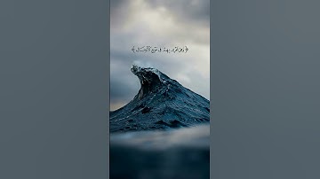 ارح قلبك🌿#اجر_لي_ولك #القران_الكريم #قرآن #تلاوة_مؤثرة #ارح_قلبك