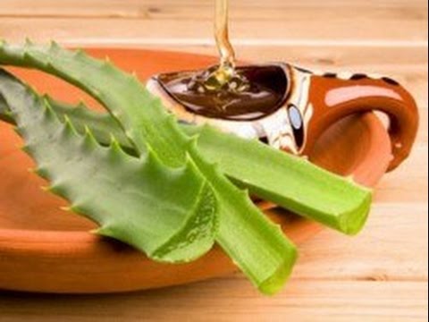 Алоэ с медом: лечебные свойства