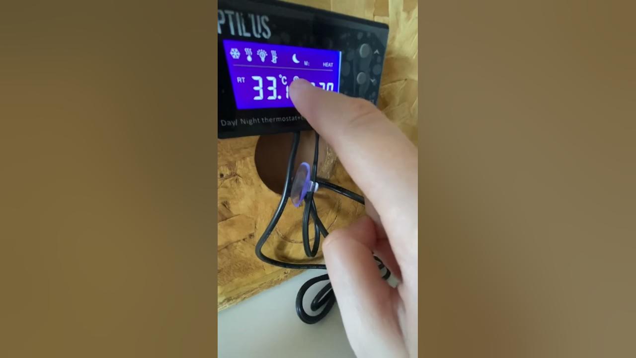 Thermostat Hygrostat DTH Control Reptil'us