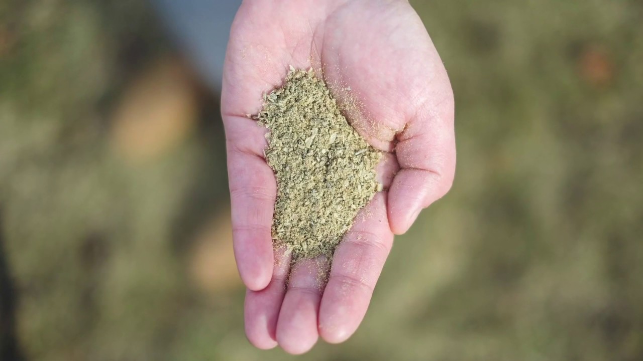 Nobilis Aqua Crowdfunding (Sustainable Aquafeed)