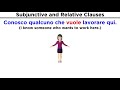 Understanding Subjunctive Mood in Italian