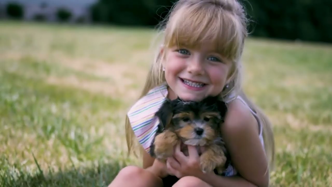 Finding Your Fur-Ever Friend: How to Adopt a Puppy from Charlotte Dog Club