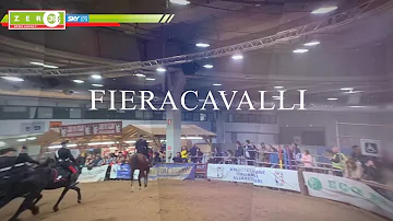 Quando si fa la fiera dei cavalli a Verona?