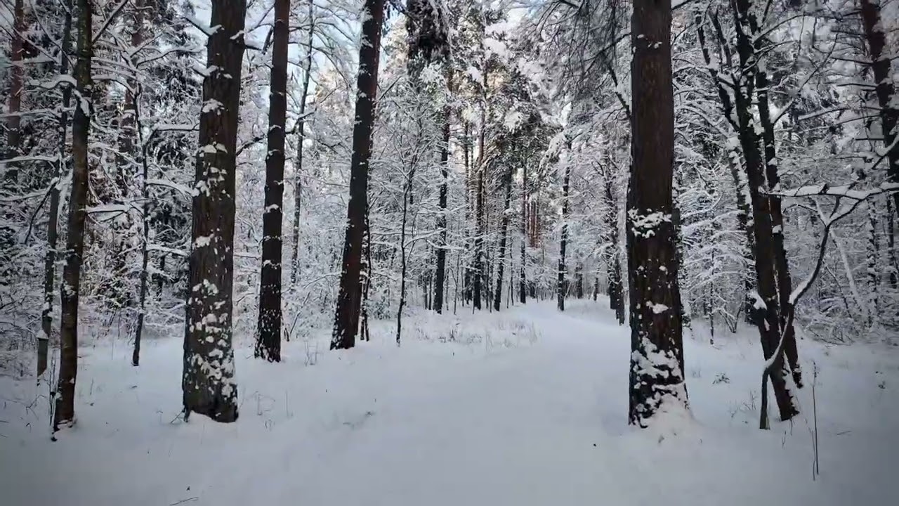 Что ты чувствуешь, слушая это?