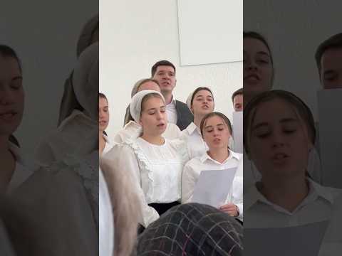 Благодари Творца за все #христианскиепесни #псалмы #оцхве #топ #бог #церковь #жатва #христианство