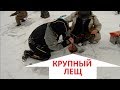 Крупный лещ. Рыбалка на леща зимой