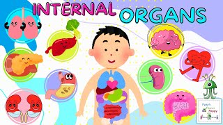 Internal Body Parts Names In English part 1 | Internal Organs Of The Human Body | Parts Of The Body