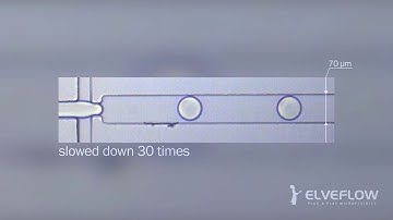 Droplet Generation - Microfluidics