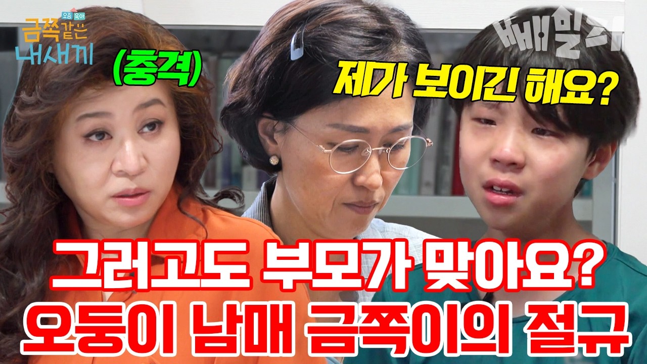 오 남매 형제들 사이에서 울분 터진 금쪽이?! 육아와 일로 지쳐가는 엄마 마음 찢어지게 만든 말은?😢| #금쪽같은내새끼 200회