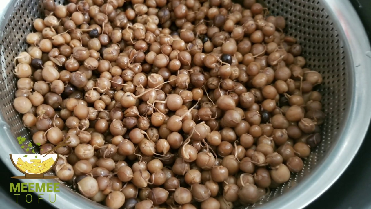 စားတော်ပဲပြုတ် အိအိလေး  #ပဲဖြင့်ချက်သောစားဖွယ်များ