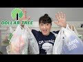 Dollar Tree Haul | March 2021 | New Items And More