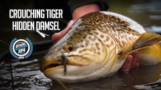 Crouching Tiger Hidden Damsel (Trailer) - Official Selection, IF4™ 2023