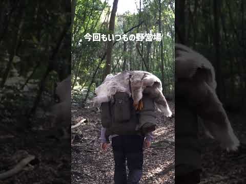 先日の野営動画です #bushcraft #ソロキャンプ #shorts