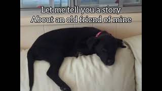 Maggie's Song - Chris Stapleton
