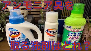 【洗剤】アンモニア臭を取る洗剤はどれを使えばいい？意外と知らない洗剤の種類。洋服のウィルス除菌にも！