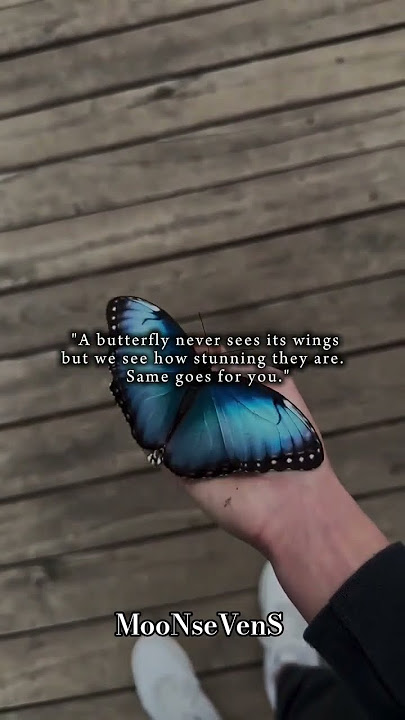 'Like a butterfly, your beauty shines from the inside out — gentle, vibrant, and free.' 🦋✨