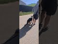 Kiwi Teil2