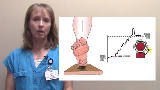 Understanding Pain