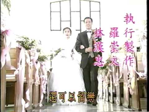 1994 華視 千言萬語 林瑞陽 張玉嬿 焦恩俊 崔佩儀 霍正奇 龍天翔