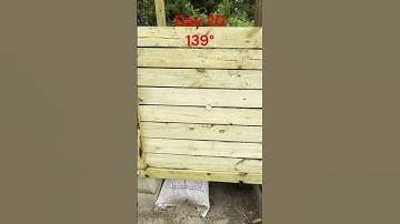 Hot Composting Horse Manure Day 20 139° #gardenbeds #compost