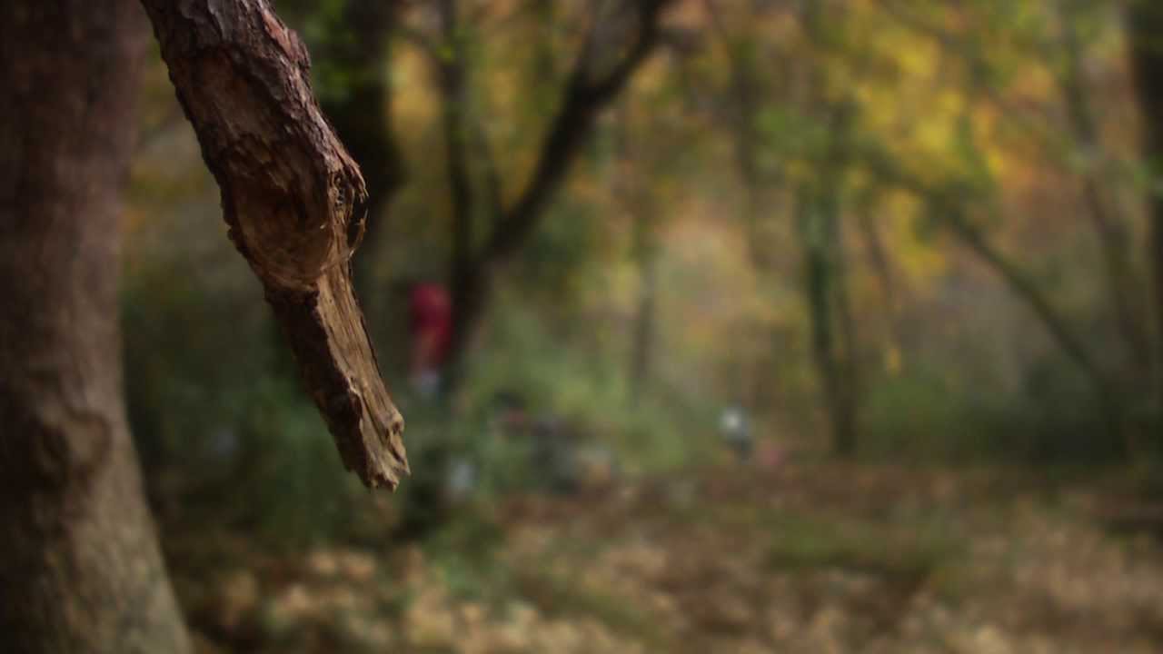 PANASONİC HPX370+P+S TECHNİK MİNİ35 TEST