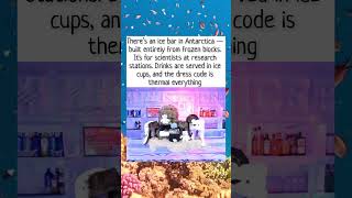 Theres An Ice Bar In Antarctica Built Entirely From Frozen Blocks