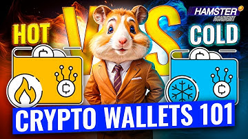 What is a Hot and a Cold Wallet — What