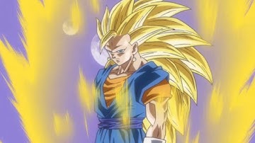 Super Saiyan 3 Vegito in Dragon Ball Z: Budokai 3
