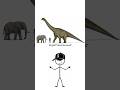 Giant Sauropods: The Largest Land Animals Ever!