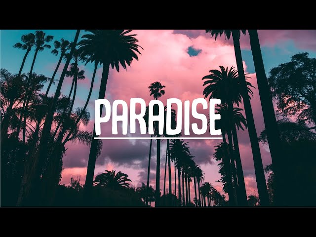PARADISE (TRADUÇÃO) - MEDUZA 